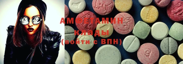 индика Гусь-Хрустальный