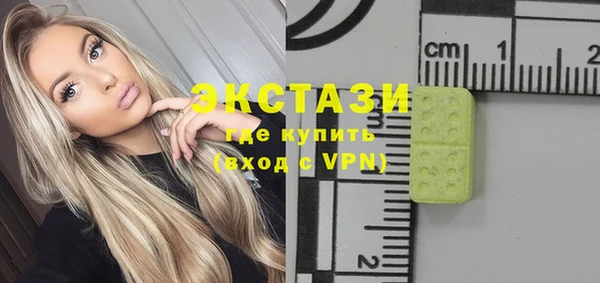 индика Гусь-Хрустальный