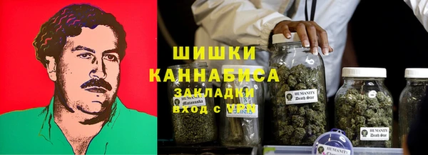 mdpv Гусев