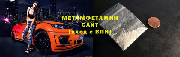 индика Гусь-Хрустальный