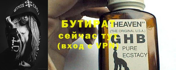 индика Гусь-Хрустальный