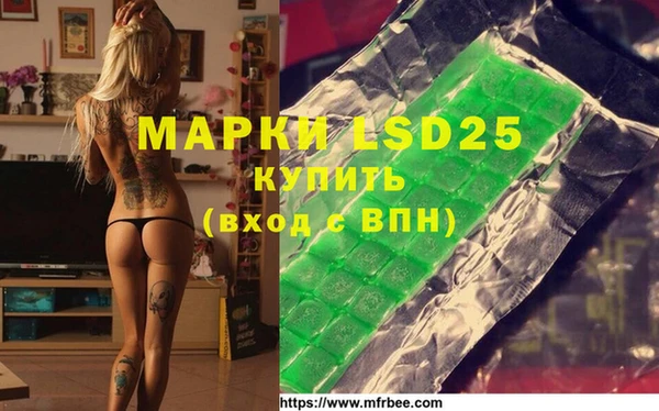 mdpv Гусев