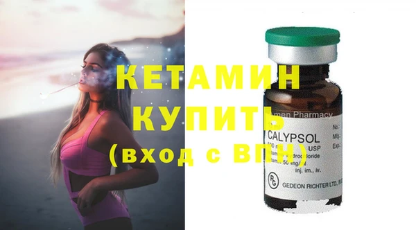 амф Дмитриев