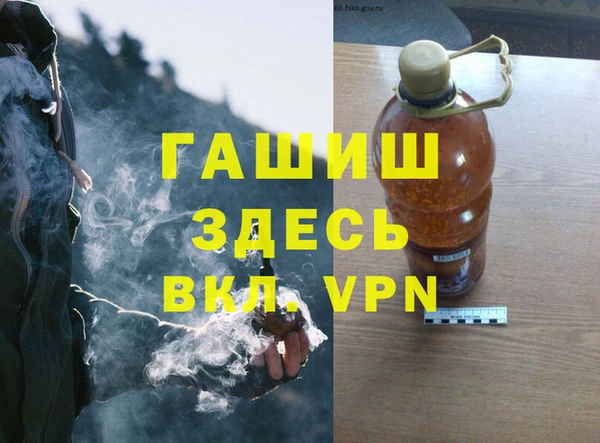 индика Гусь-Хрустальный