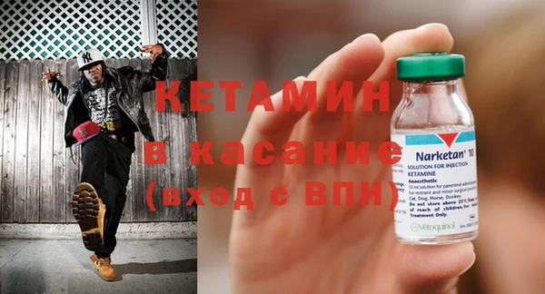 индика Гусь-Хрустальный