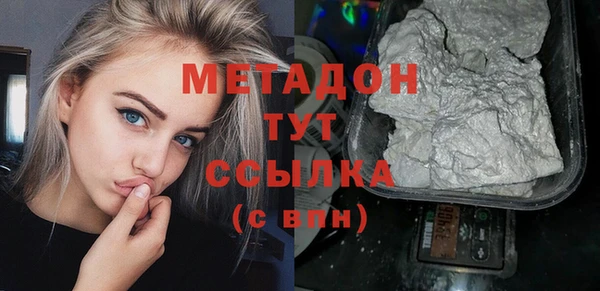индика Гусь-Хрустальный