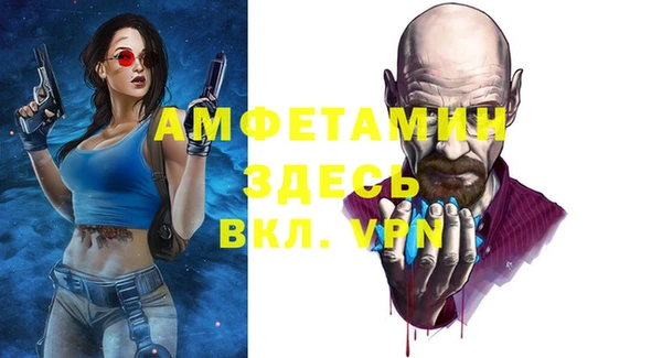индика Гусь-Хрустальный
