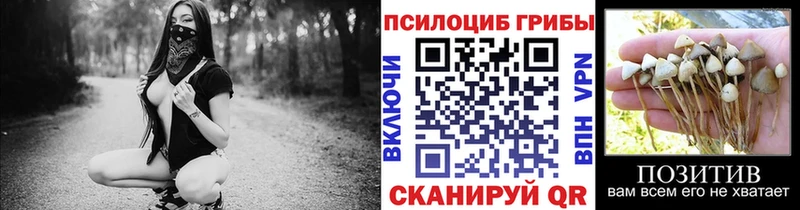 Галлюциногенные грибы GOLDEN TEACHER  Пролетарск 